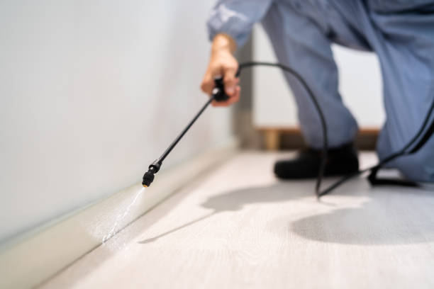 Licensed Pest Control service in Marine, IL - Show Me Pest Control