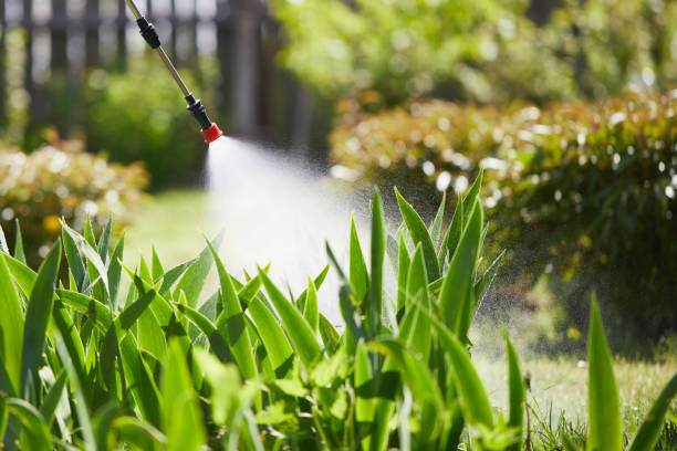 24/7 Emergency Mosquito Control experts in Marine, IL