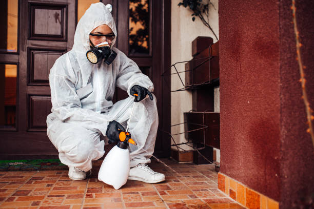 Reliable Mosquito Control contractor in Marine, IL by Show Me Pest Control