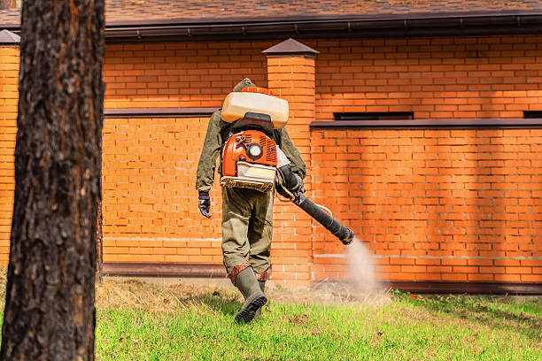 Top rated local Mosquito Control specialists in Marine, IL